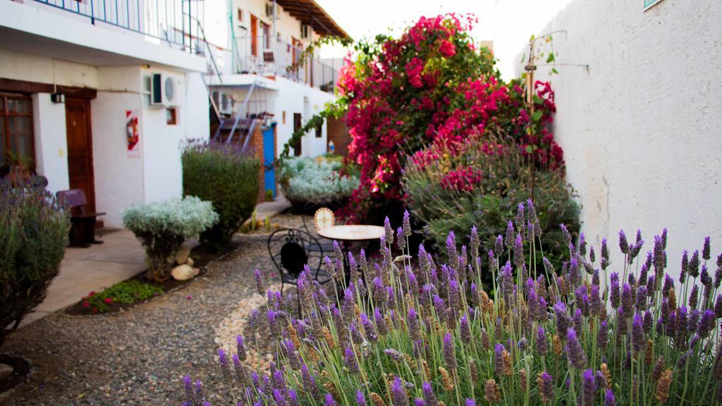 Hotel Divina Presencia Cafayate Exteriér fotografie